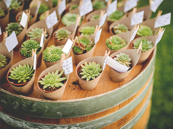 Sustainable Wedding Decorations​ | 2026 Wedding Decor Trends | Wedding Decor Trends 2026 | 2026 Wedding Decoration Trends | Sustainable Wedding Decor Ideas​